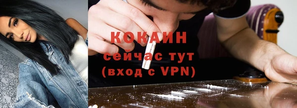 ПСИЛОЦИБИНОВЫЕ ГРИБЫ Верея
