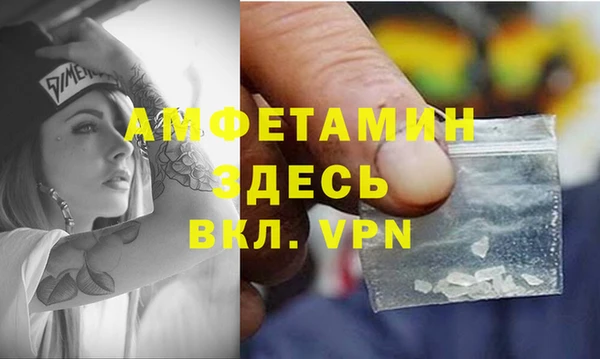 ПСИЛОЦИБИНОВЫЕ ГРИБЫ Верея
