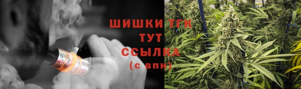 ПСИЛОЦИБИНОВЫЕ ГРИБЫ Верея
