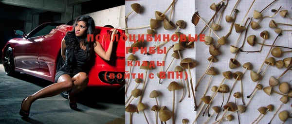 ПСИЛОЦИБИНОВЫЕ ГРИБЫ Верея