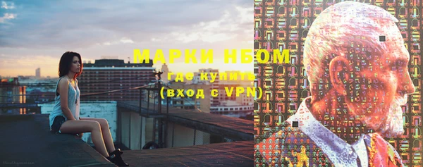 ПСИЛОЦИБИНОВЫЕ ГРИБЫ Верея